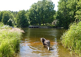 Uddbyviken vid Uddby kvarn