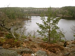 Blick auf den See