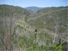 Upper portion of east fork of Middle Creek Upper portion of east fork of Middle Creek, April 13, 2009.png