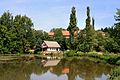 Čeština: Rybník v Menčicích, části obce Všestary English: Lower pond in Menčice village, part of Všestary, Czech Republic