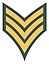 VSP Sergeant.jpg