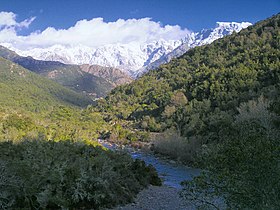 Image illustrative de l’article Parc naturel régional de Corse