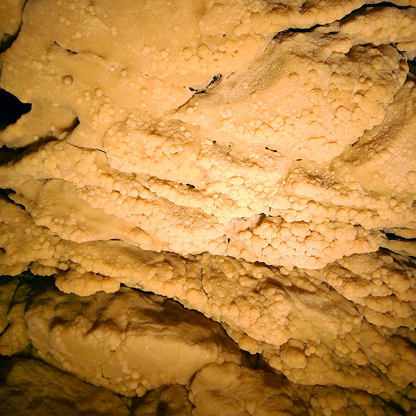 File:Vallorbe Grottos Cauliflower Structure.jpg