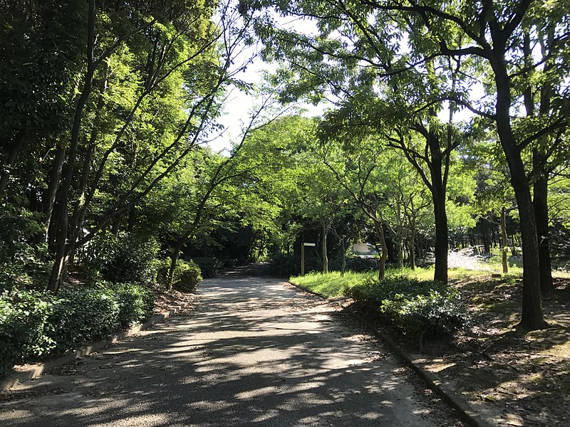 File:View in Suwa Park in Omuta, Fukuoka 3.jpg