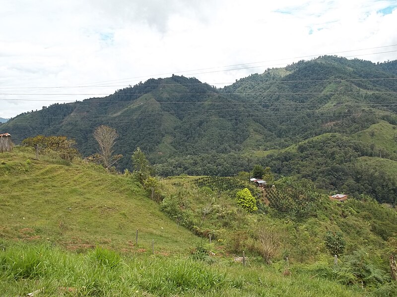 File:View of Acevedo, Huila, Colombia.jpg