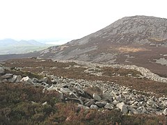 View south-westwards of the interior of the fort from the Bronze Age cairn - geograph.org.uk - 710536.jpg