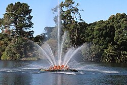 Virginia Lake Reserve, Whanganui 17.jpg