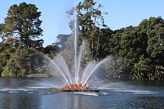 <span class="mw-page-title-main">Rotokawau Virginia Lake</span>