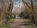 * Nomination Trail at the Salburua wetlands. Vitoria-Gasteiz, Basque Country, Spain --Basotxerri 15:59, 7 March 2017 (UTC) * Promotion Good quality --Halavar 16:18, 7 March 2017 (UTC)