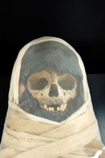 File:WLANL - mystic mabel - Mummie van een kind-Mummy of a child, 332-330 voor Chr..jpg