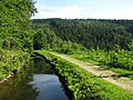 Parallel zum Hang verlaufender Graben (Ausleitung), der durch einen Höhenunterschied (Gefälle) der Stromerzeugung dient