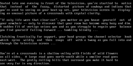 Wander (1974 video game)