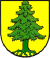 Wappen Tann (Rhön).png