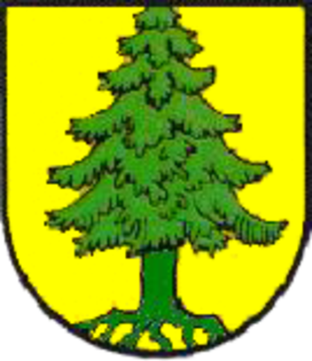 Wappen Tann (Rhön)