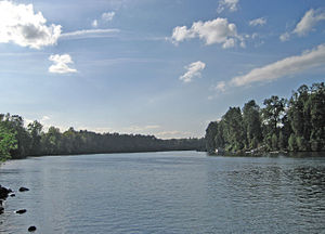 The Willamette River