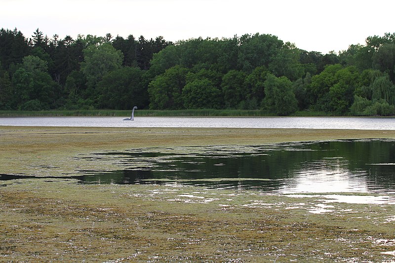 File:Wirth Lake, Golden Valley, Minnesota.jpg