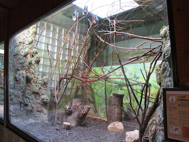 File:ZOO Ústí n L - Exotárium - výběh kaloňů 01.jpg