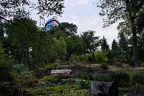 Ботанічний сад ім. І. Фоміна 80-391-5001.JPG