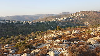 <span class="mw-page-title-main">Yasuf</span> Municipality type D in Salfit, State of Palestine