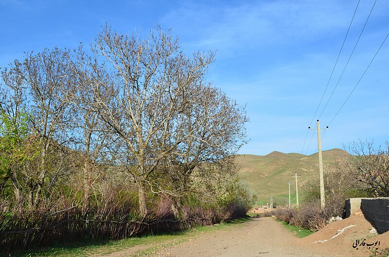 File:اطراف روستای اغجه دیزج مراغه - panoramio.jpg