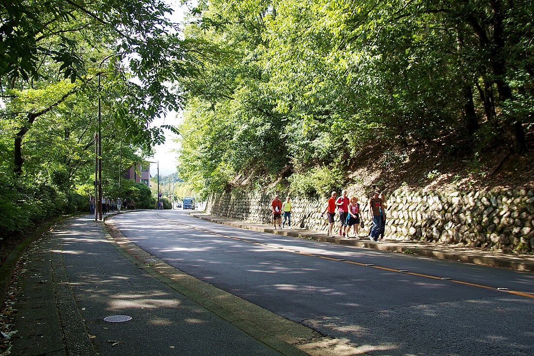 京都市道183号衣笠宇多野線