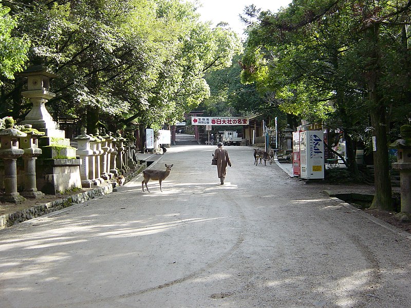 File:奈良公園 - panoramio.jpg