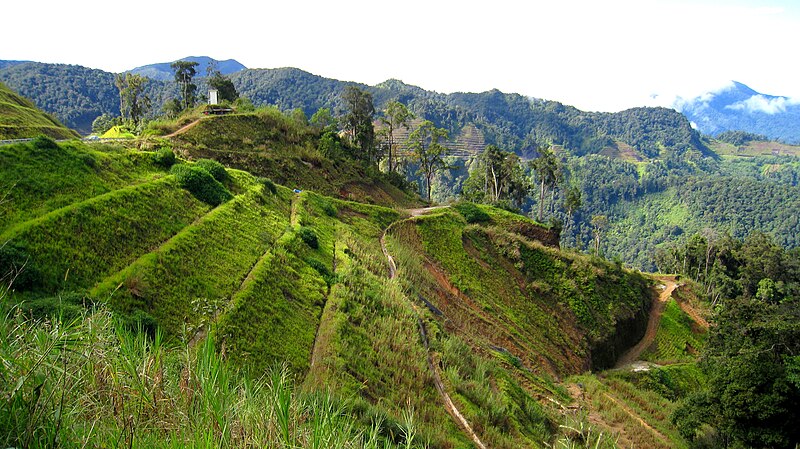 File:009 On the road to the Cameron Highlands (9134068182).jpg