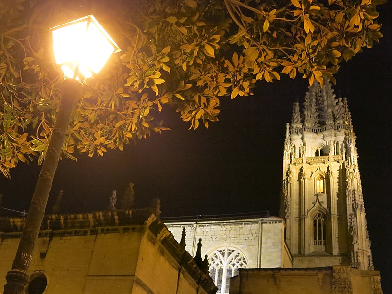 File:035 Catedral de San Salvador (Oviedo), campanar, c. del Águila.jpg