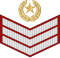 04.Paquistão Exército-SSG.svg