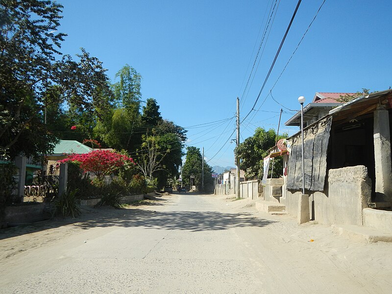 File:04664jfFarm Roads Trees Paddy Fields Gulap Candaba Pampangafvf 10.JPG