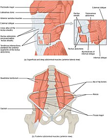 Iliocostal friction syndrome - Wikipedia