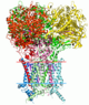 Structural bioinformatics