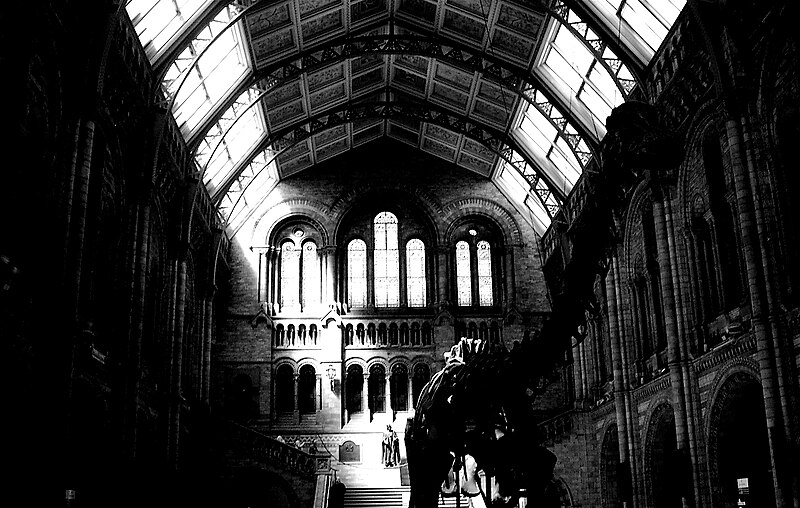 File:2005-05-07 - United Kingdom - England - London - Natural History Museum 4887227431.jpg