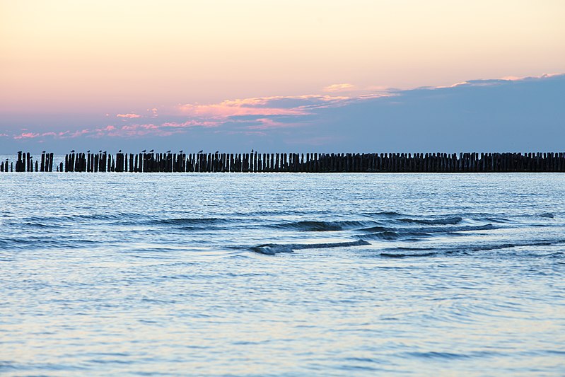 File:20140719-09(Papes jūrmala).jpg