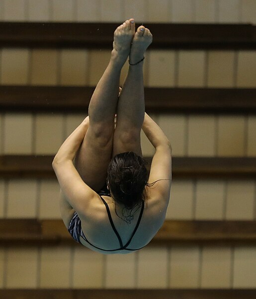 File:2018-02-15 1m female finals (IDHM Rostock 2018) by Sandro Halank–155.jpg