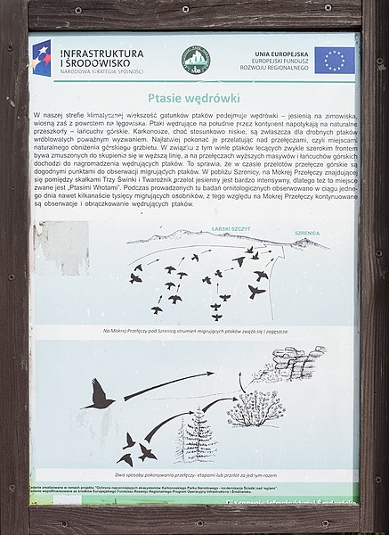 File:2018 Tablica informacyjna na Mokrej Przełęczy.jpg