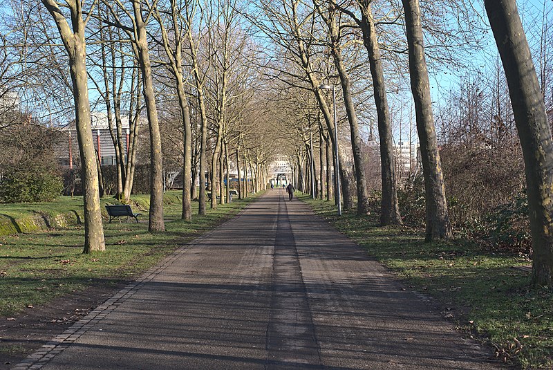 File:20210109 Bürgerpark Saarbrücken 03.jpg