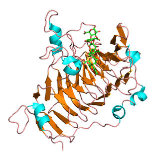 Pectinesterase Class of enzymes