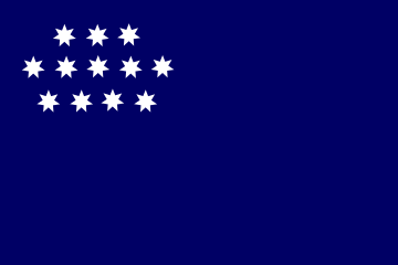 Flag of the Democratic Union for Revival