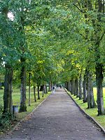 Alexandra Park (Londres)