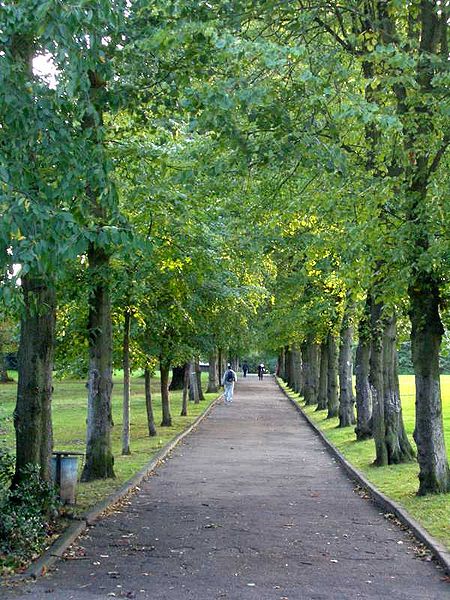 An avenue at Alexandra Park, London