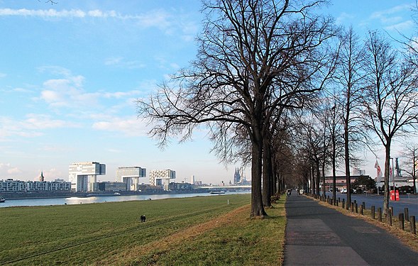 Alfred-Schütte-Allee, Cologne-Deutz