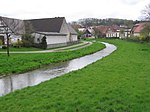 The river Altenau Enten