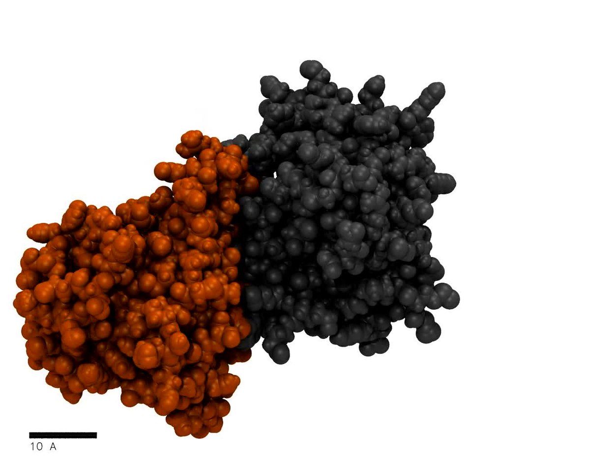 Molecular Dynamics Simulation