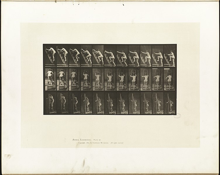 File:Animal locomotion. Plate 110 (Boston Public Library).jpg