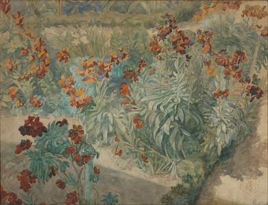 Løvemund i blomsterbed omkranset af buksbom, 1898