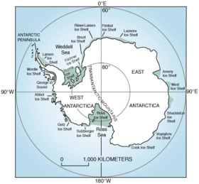 Antarctica ice shelves.png