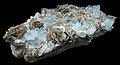 * Nomination Aquamarine on Muscovite (location: Hunza Valley, Pakistan), photographed at museum Naturmuseum Dortmund --Tuxyso 23:24, 3 January 2023 (UTC) * Promotion  Support Good quality. --Valo139 23:33, 3 January 2023 (UTC)