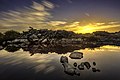 Aswan golden hour.jpg