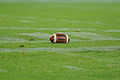 * Nomination American Football ball laying in grass at Austrian Bowl XXIX in St. Pölten --AleXXw 08:19, 14 August 2013 (UTC) * Promotion Good quality. --Ralf Roletschek 13:29, 20 August 2013 (UTC)